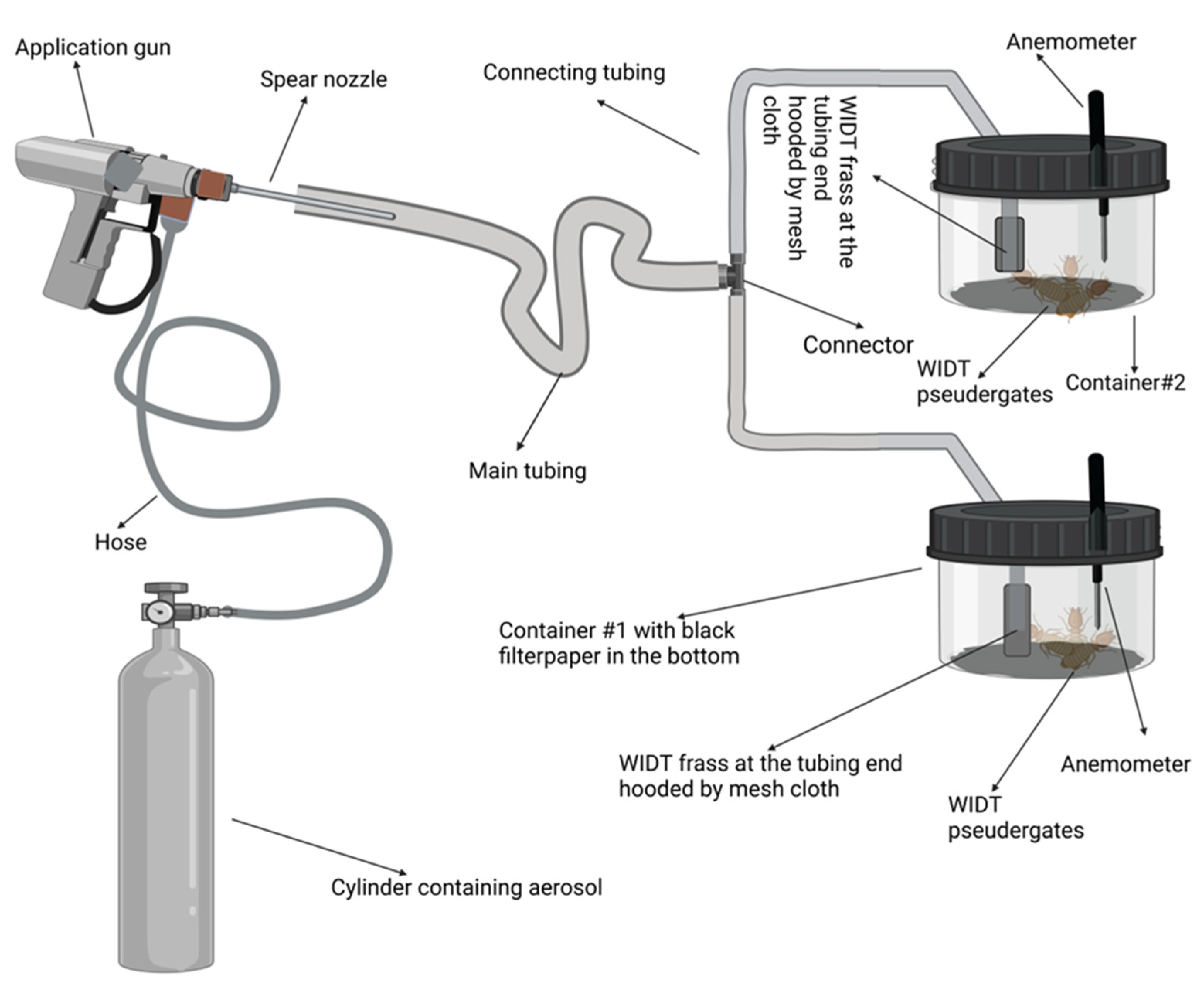 Insects 14 00522 g004