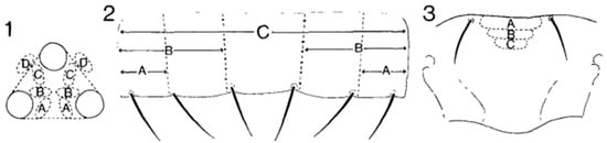 Insects 14 00523 g004