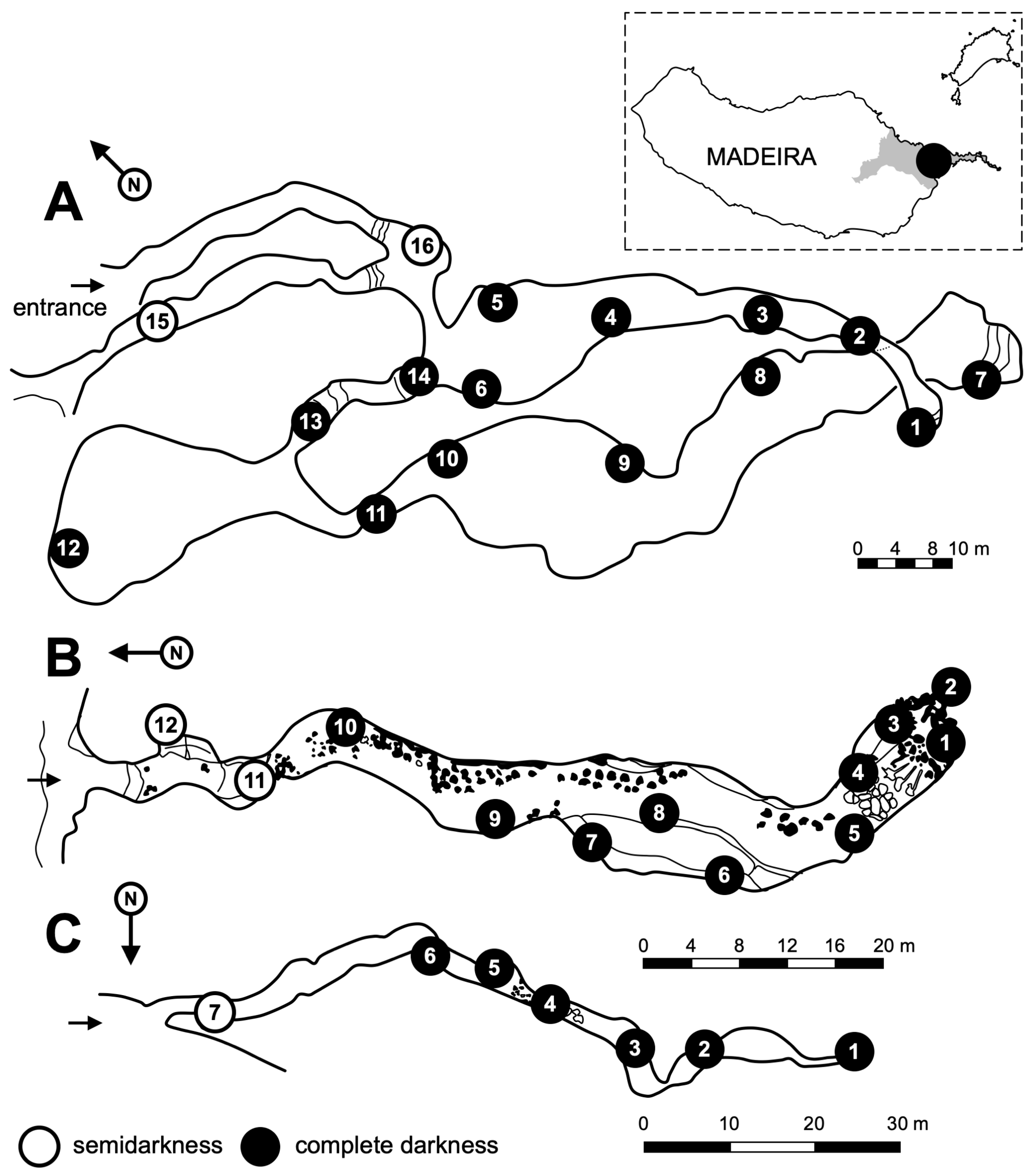 Insects 14 00525 g001
