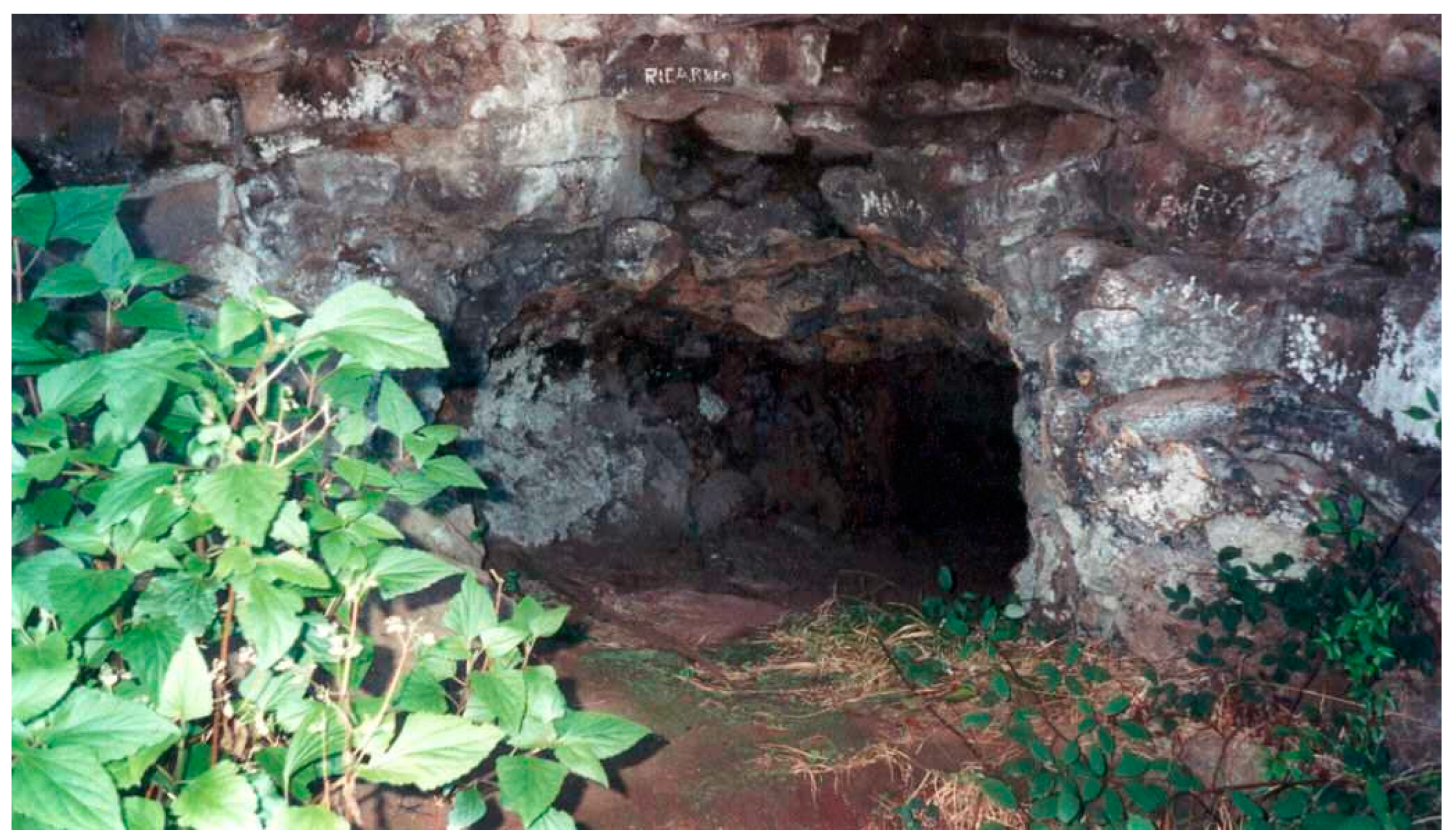 Insects 14 00525 g002