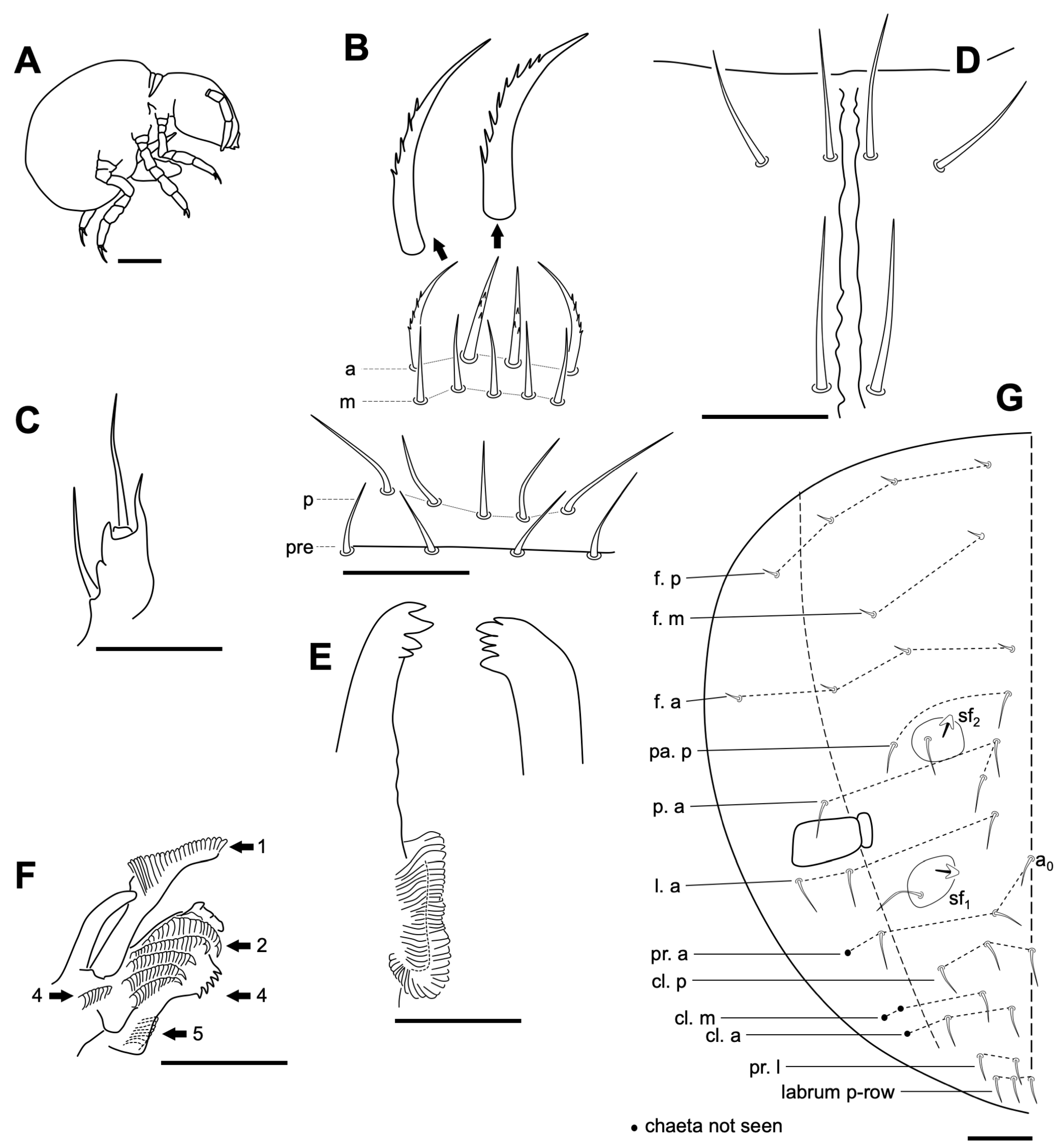 Insects 14 00525 g004