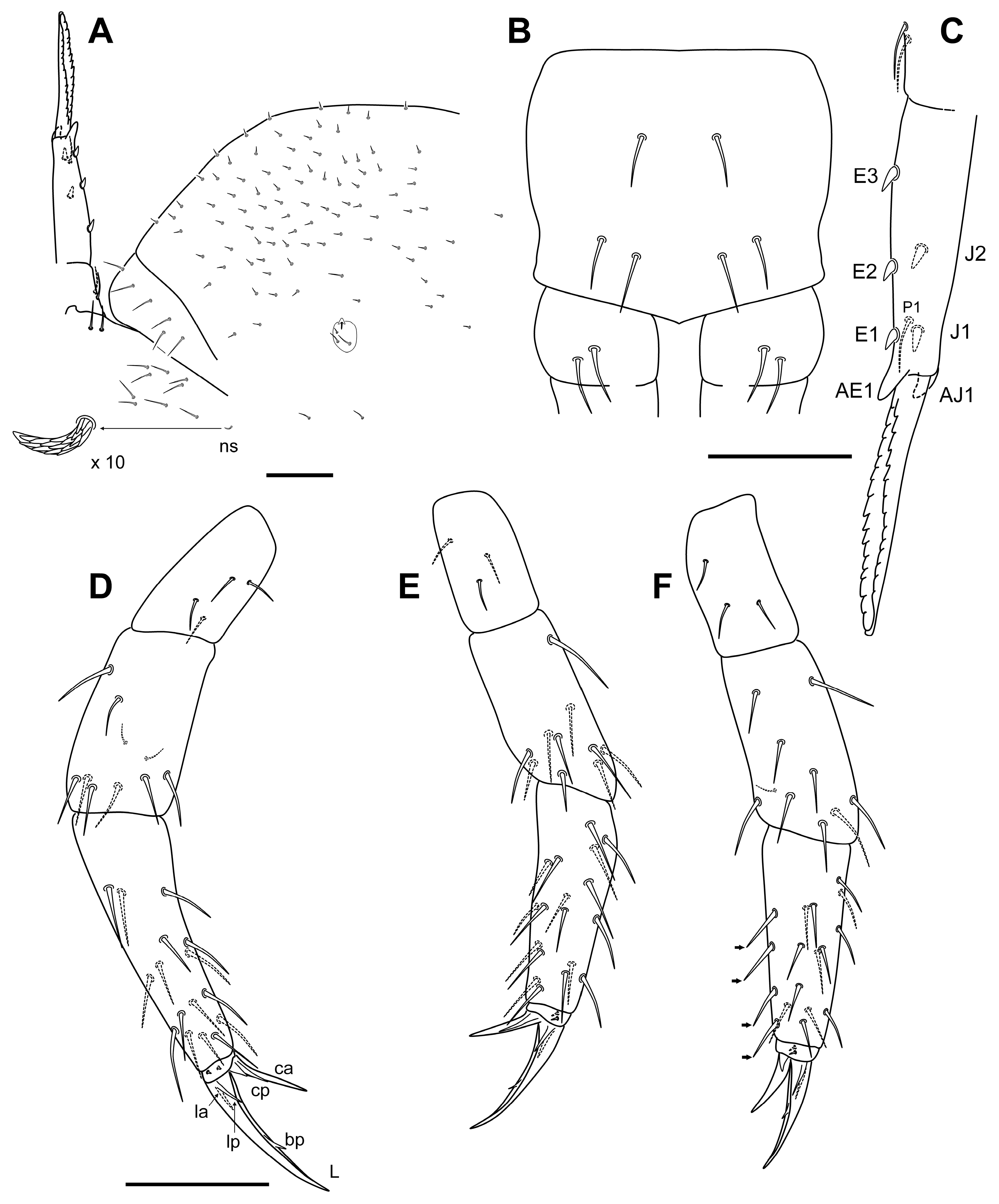 Insects 14 00525 g006