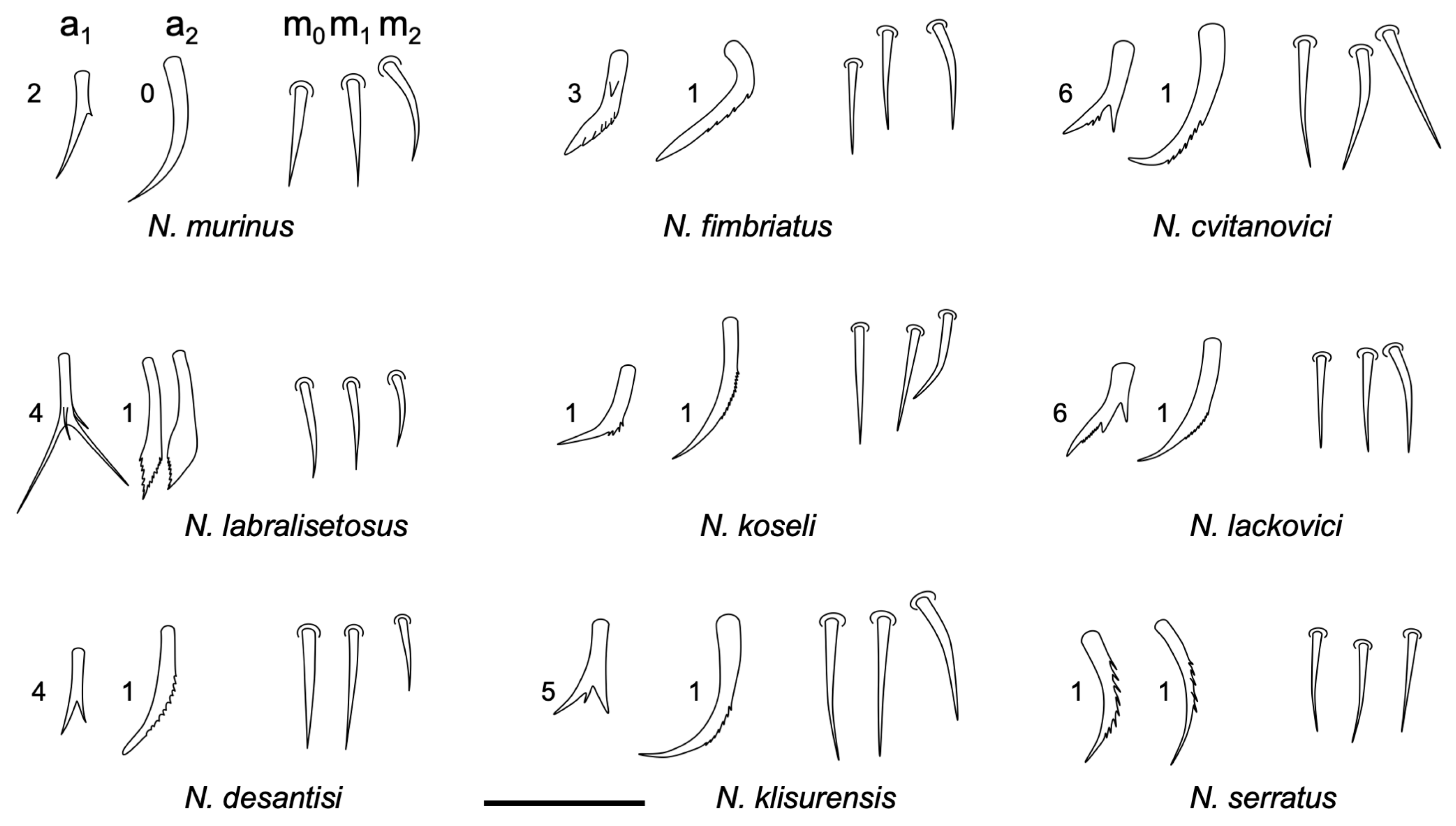Insects 14 00525 g007