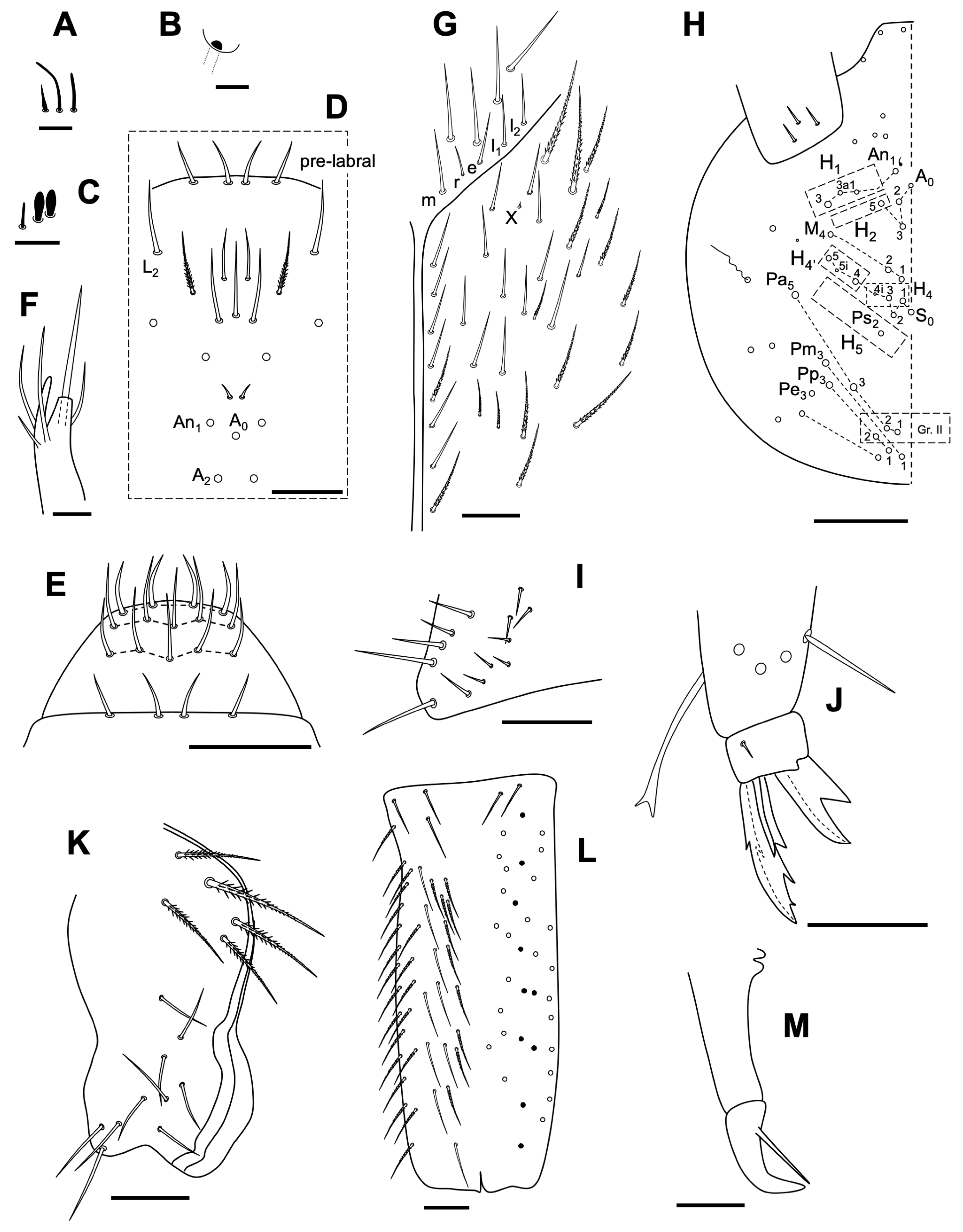 Insects 14 00525 g008