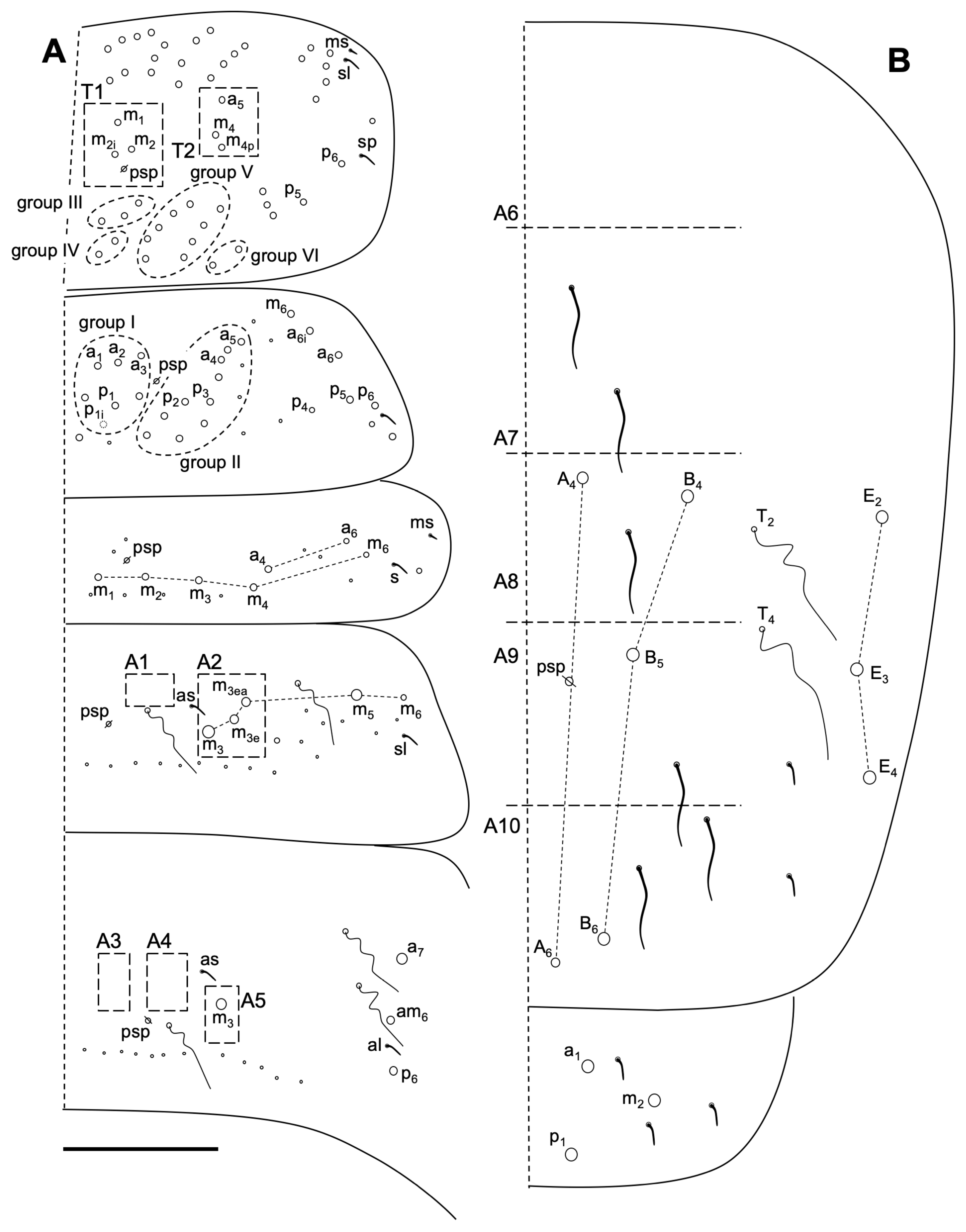 Insects 14 00525 g009