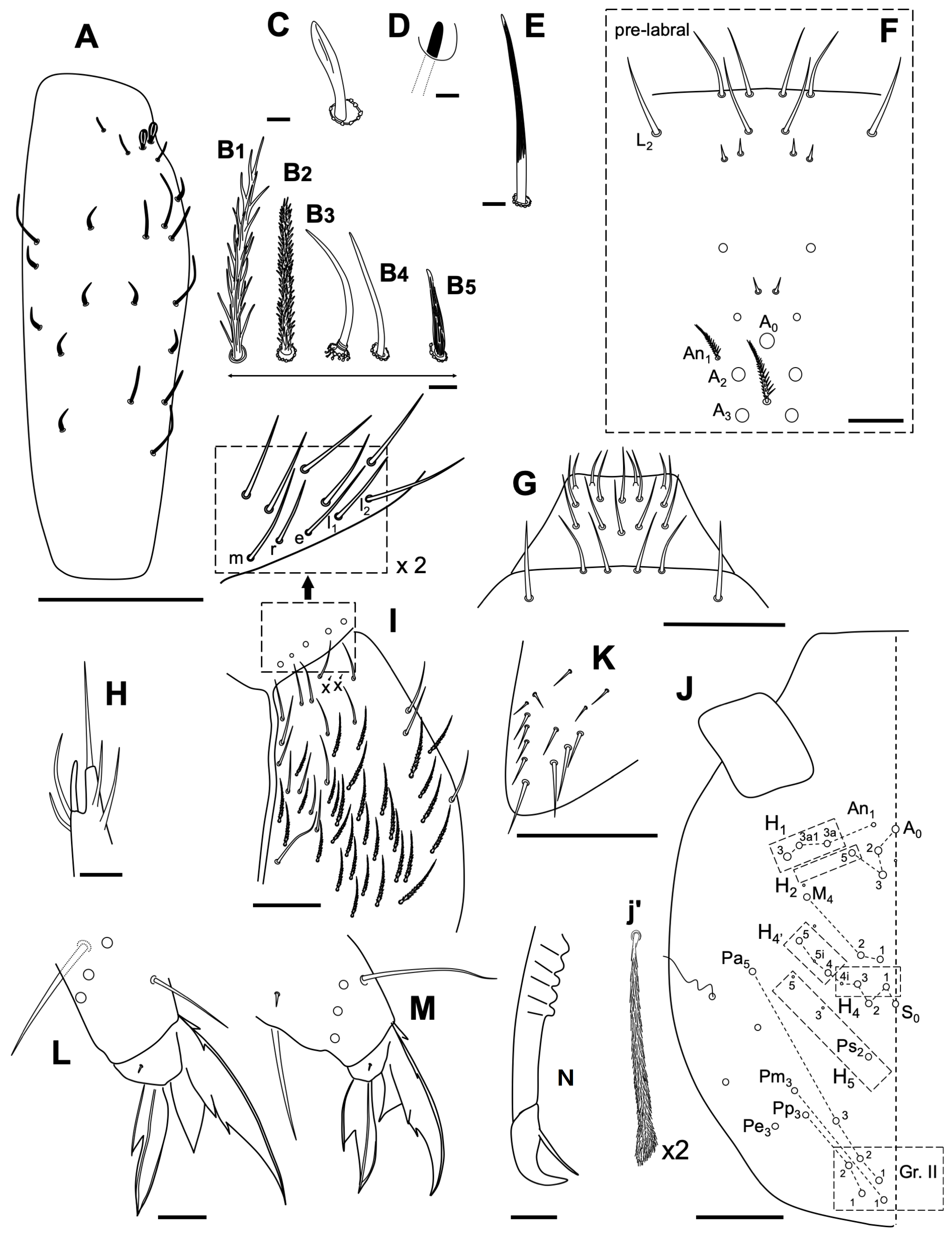 Insects 14 00525 g011