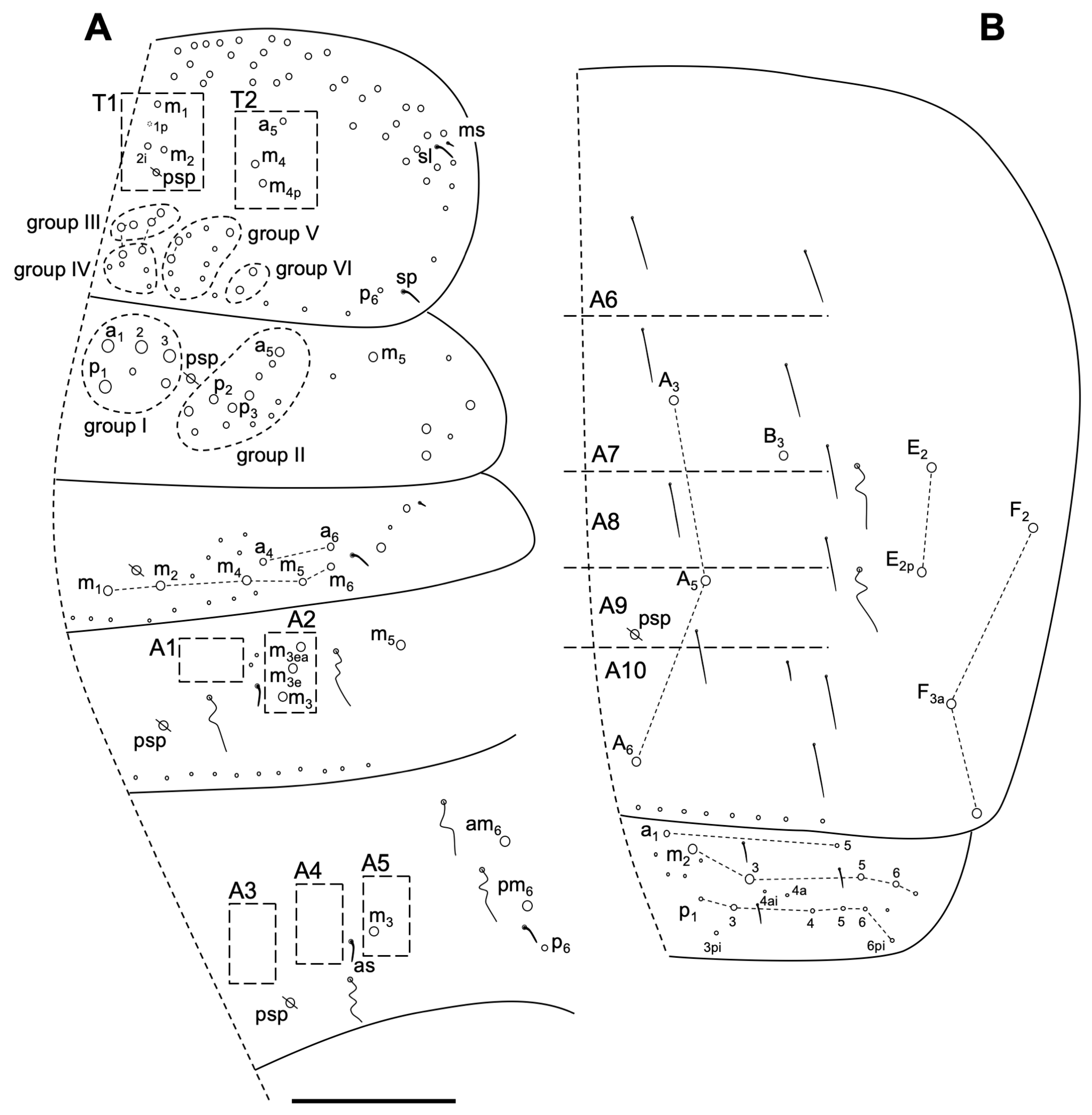 Insects 14 00525 g012