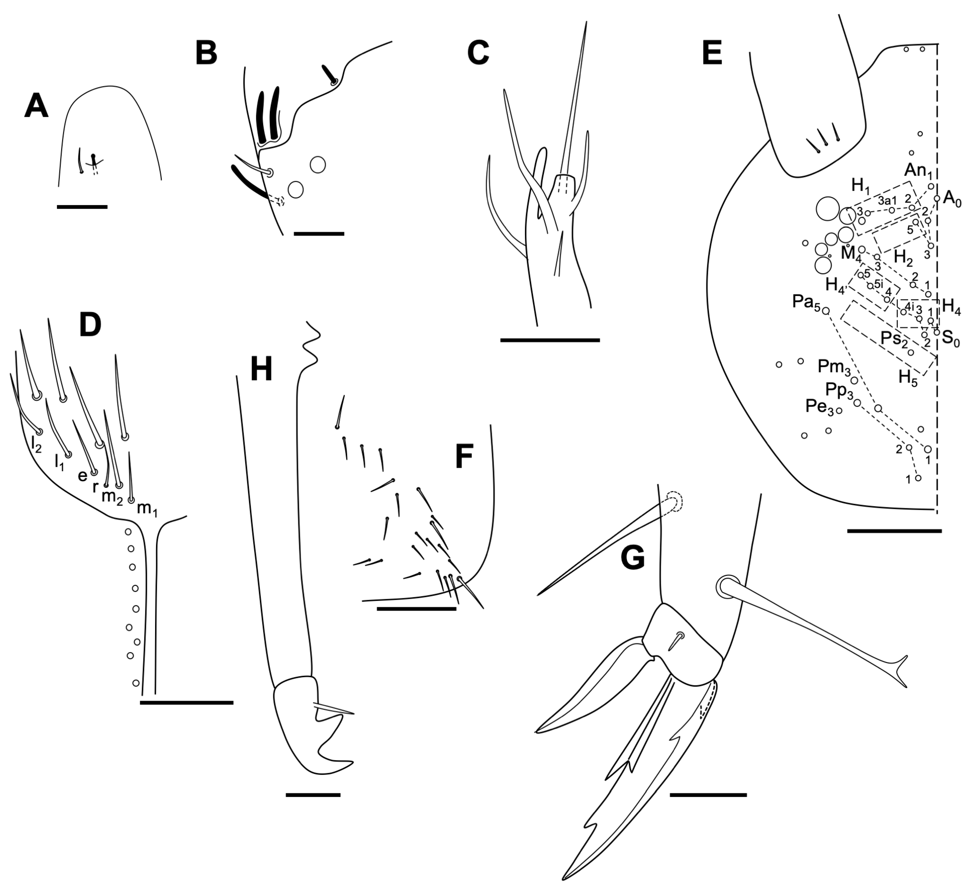 Insects 14 00525 g013