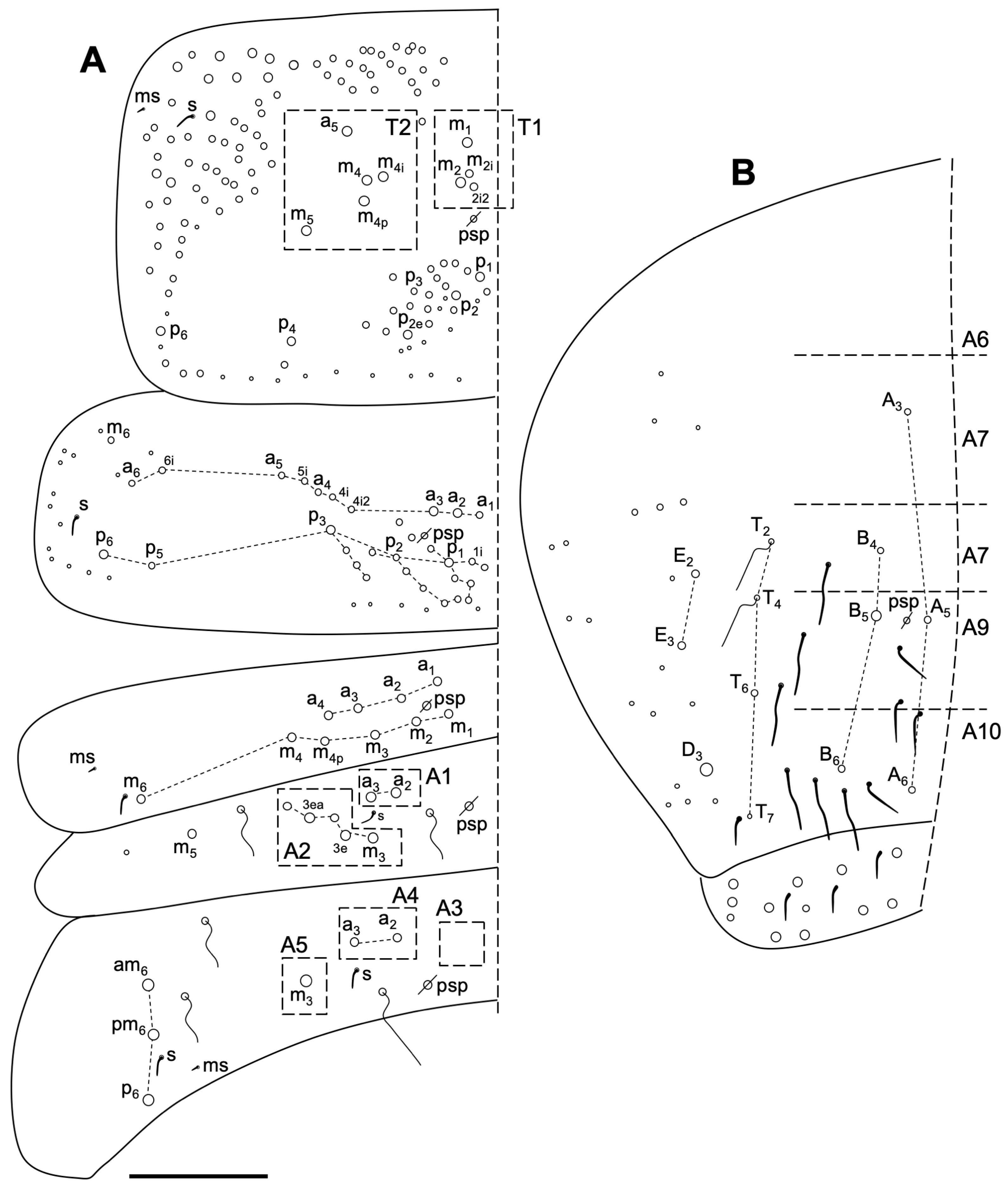 Insects 14 00525 g014