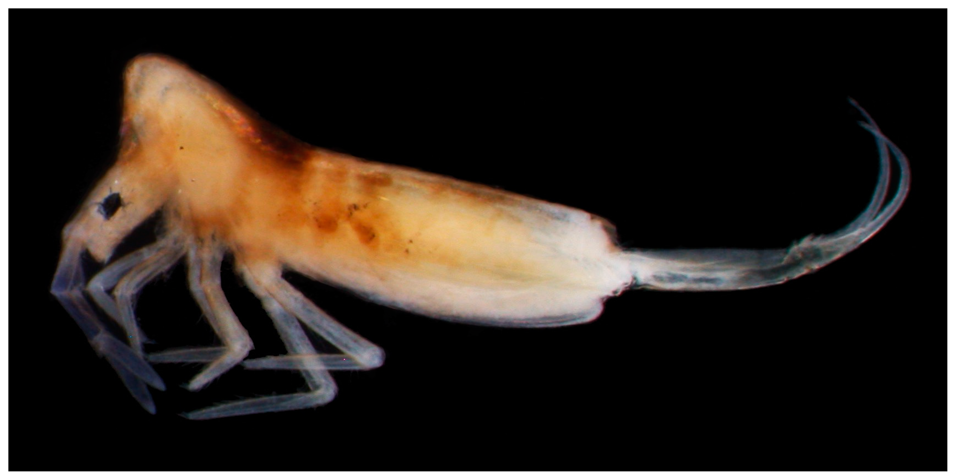 Insects 14 00525 g015