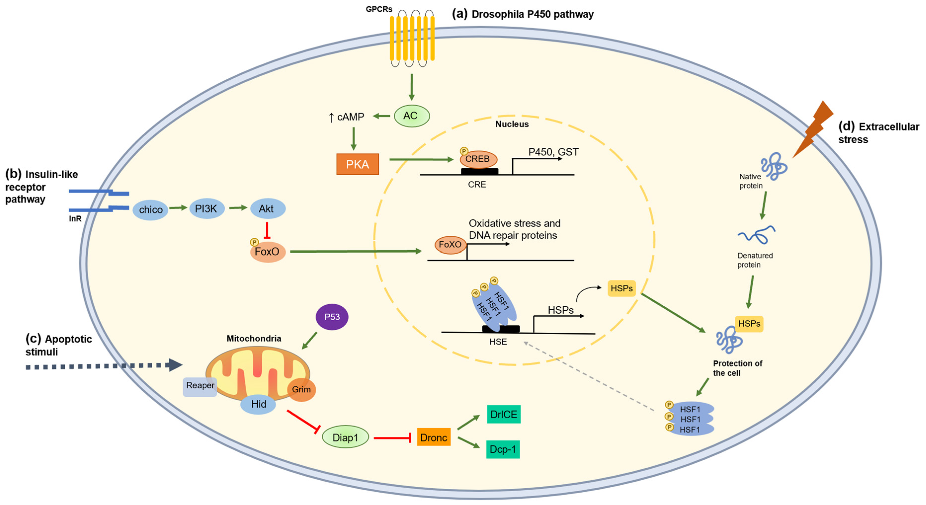 Insects 14 00533 g004