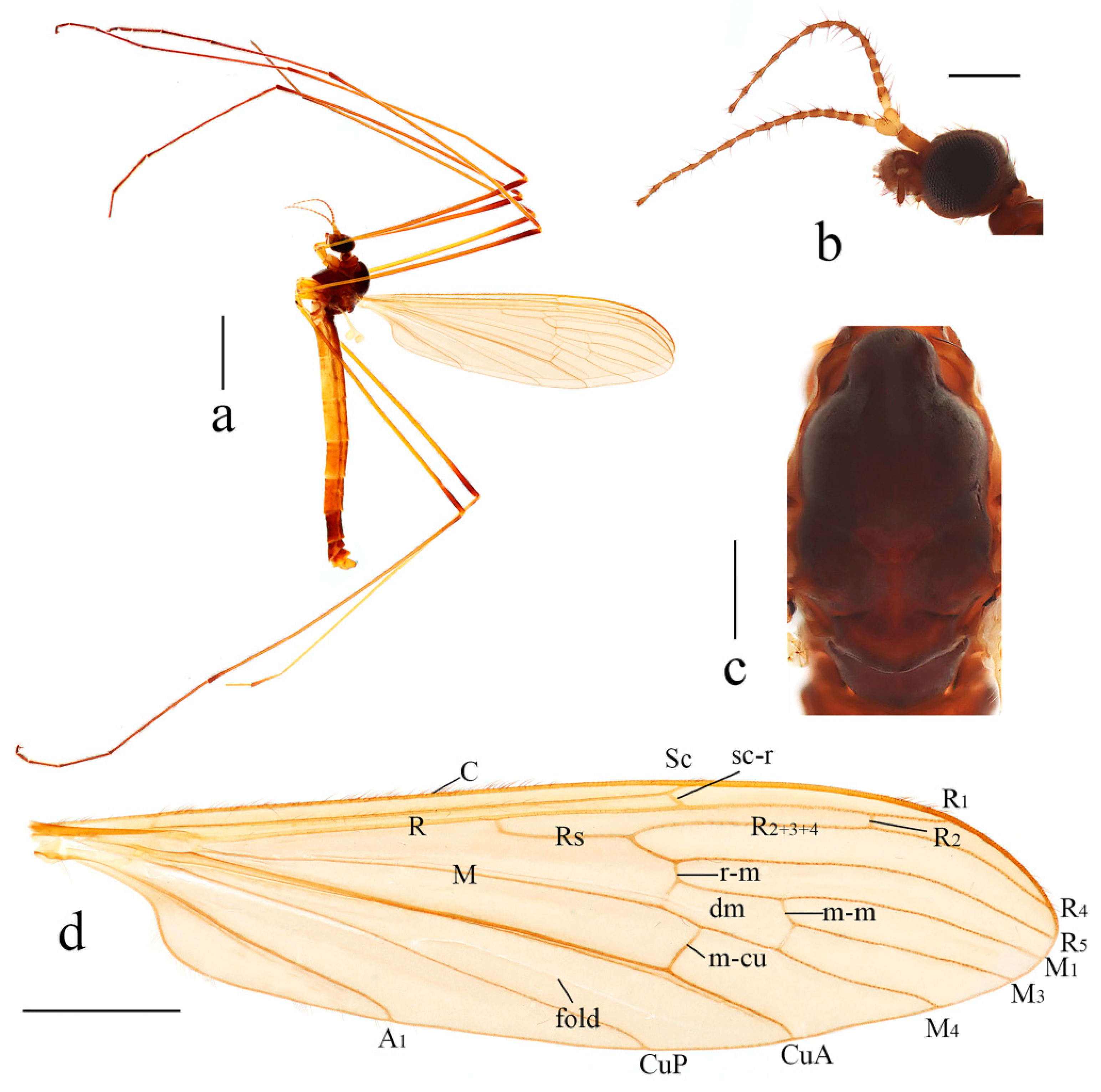 Insects 14 00535 g001 Insects 14 00535 g001