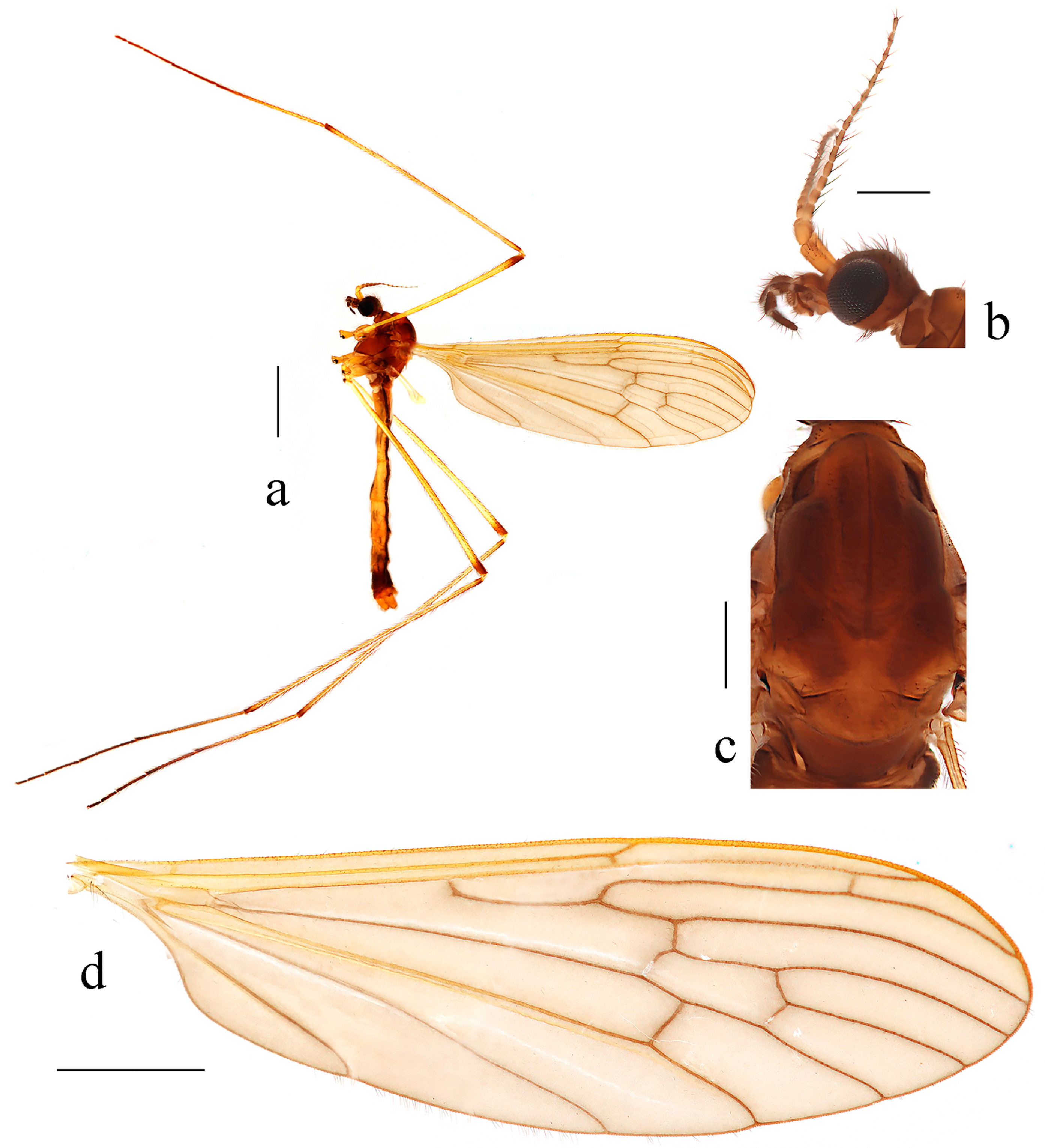 Insects 14 00535 g004 Insects 14 00535 g004