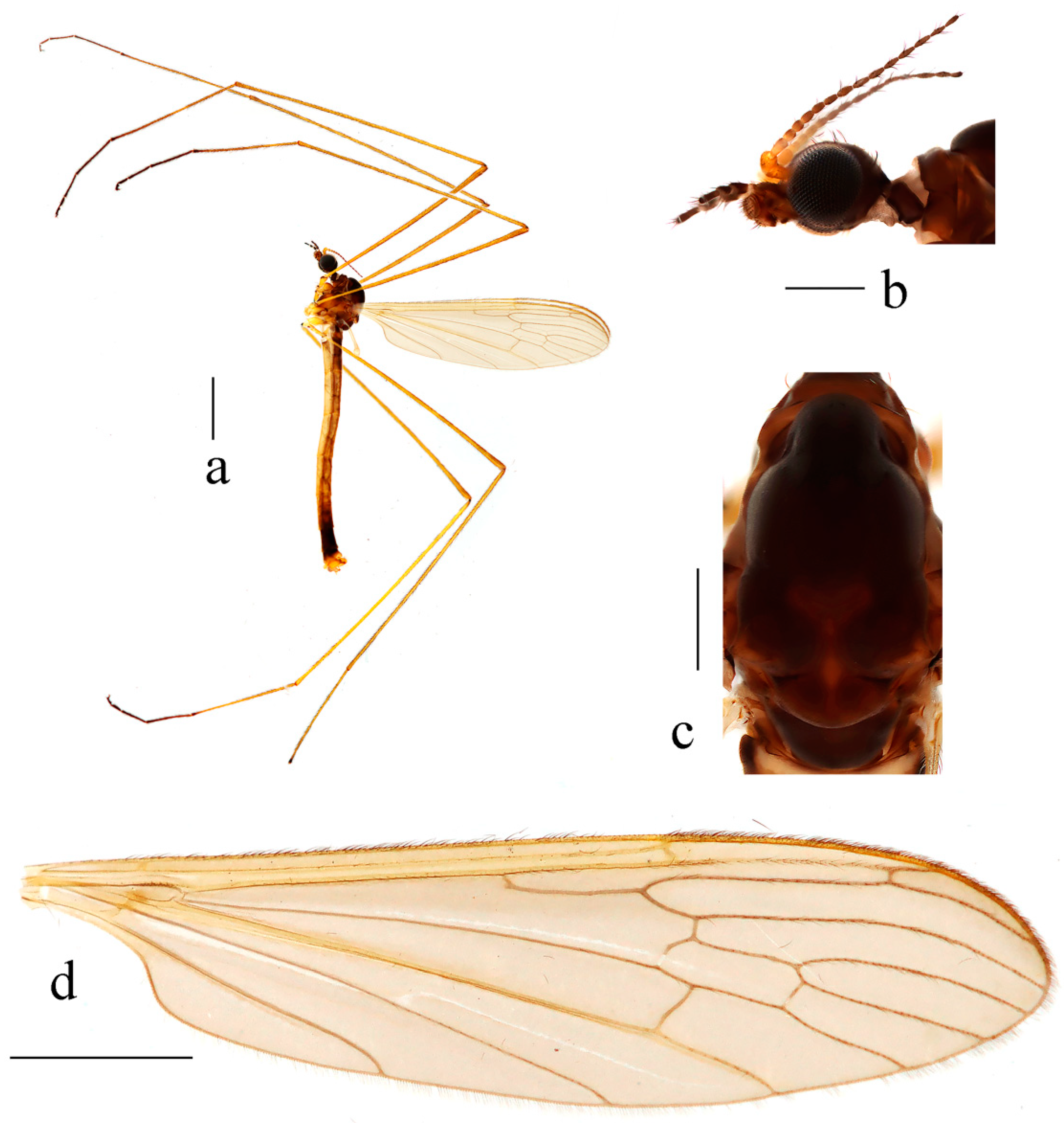 Insects 14 00535 g007 Insects 14 00535 g007