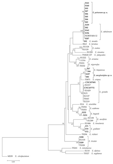 Insects 14 00541 g001
