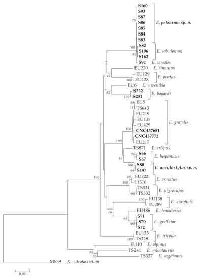 Insects 14 00541 g002