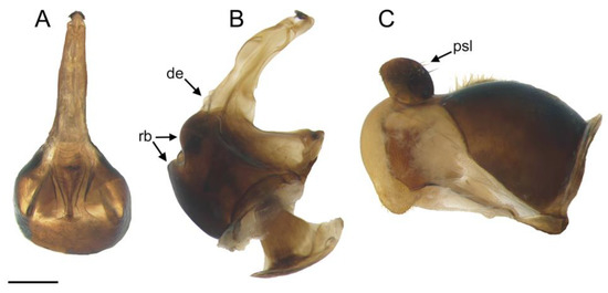 Insects 14 00541 g005