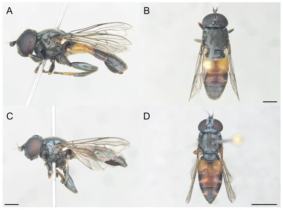 Insects 14 00541 g009