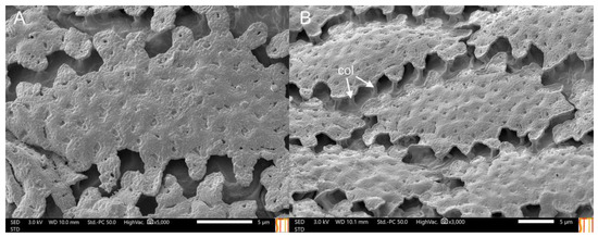 Insects 14 00541 g012