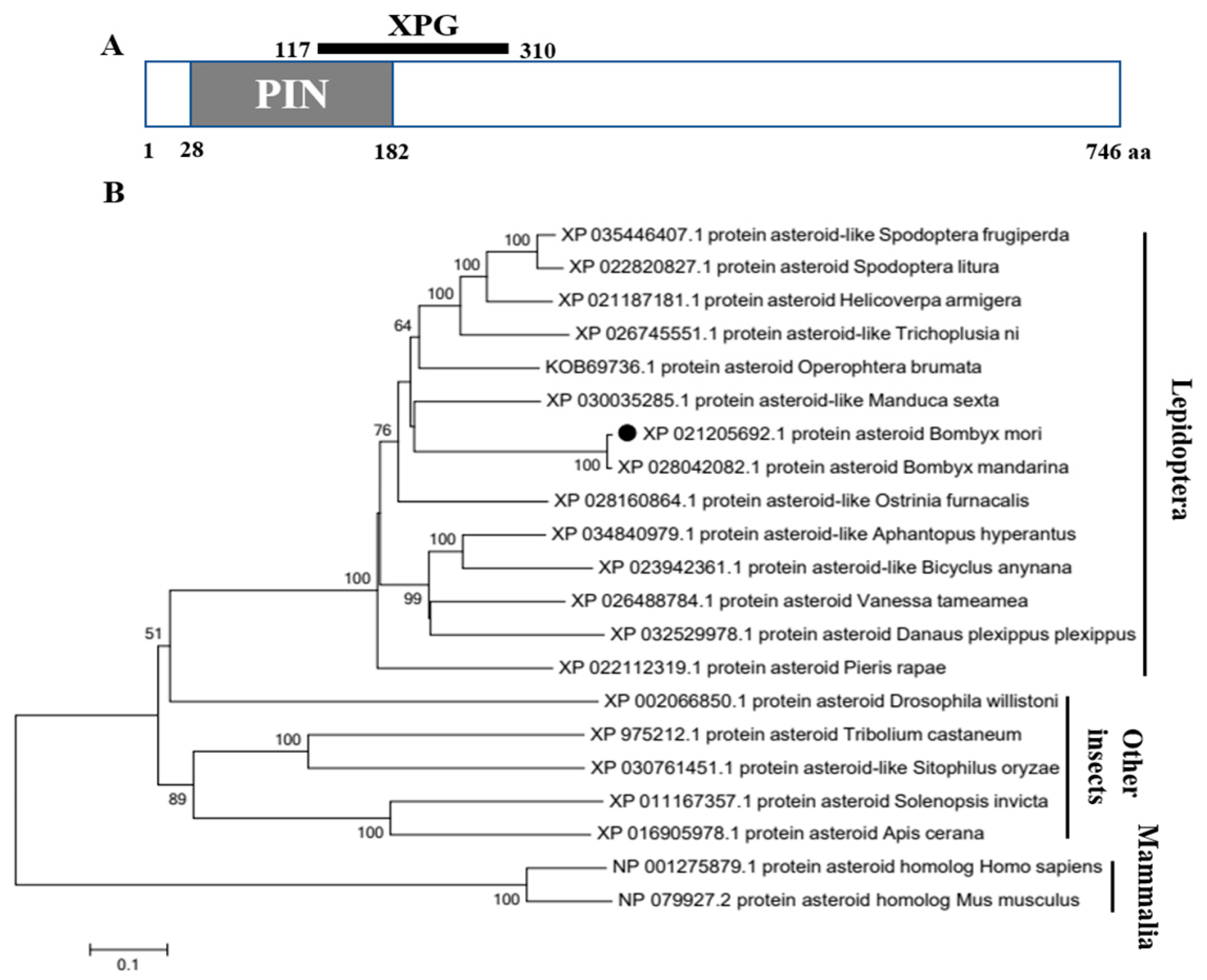 Insects 14 00550 g001 Insects 14 00550 g001