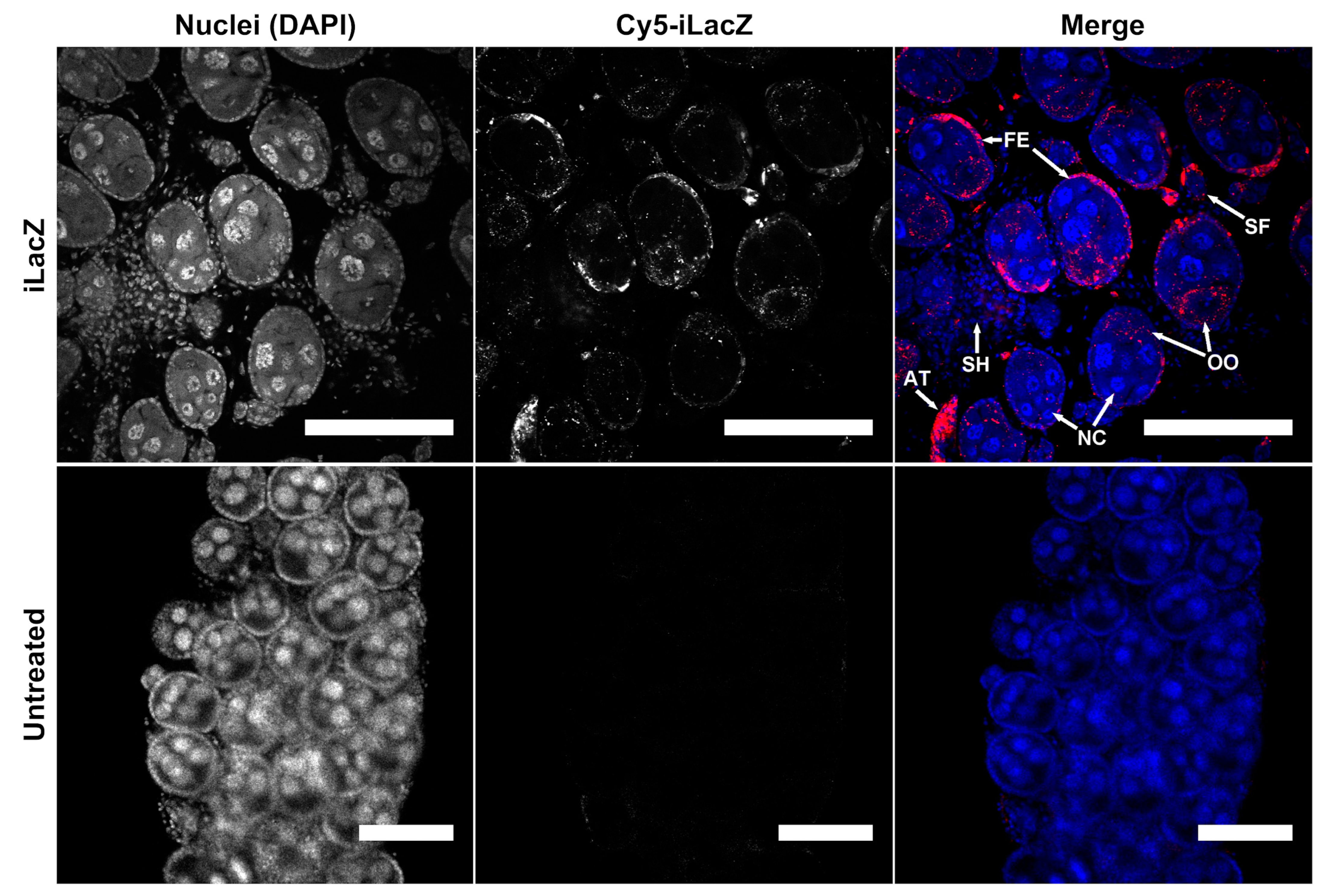 Insects 14 00556 g001