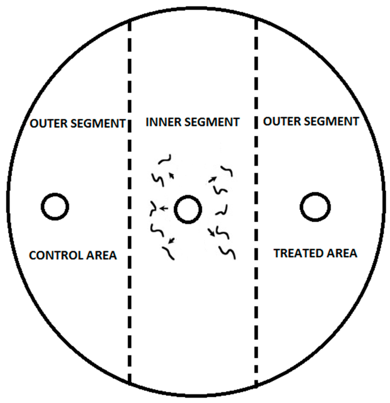 Insects 14 00559 g001