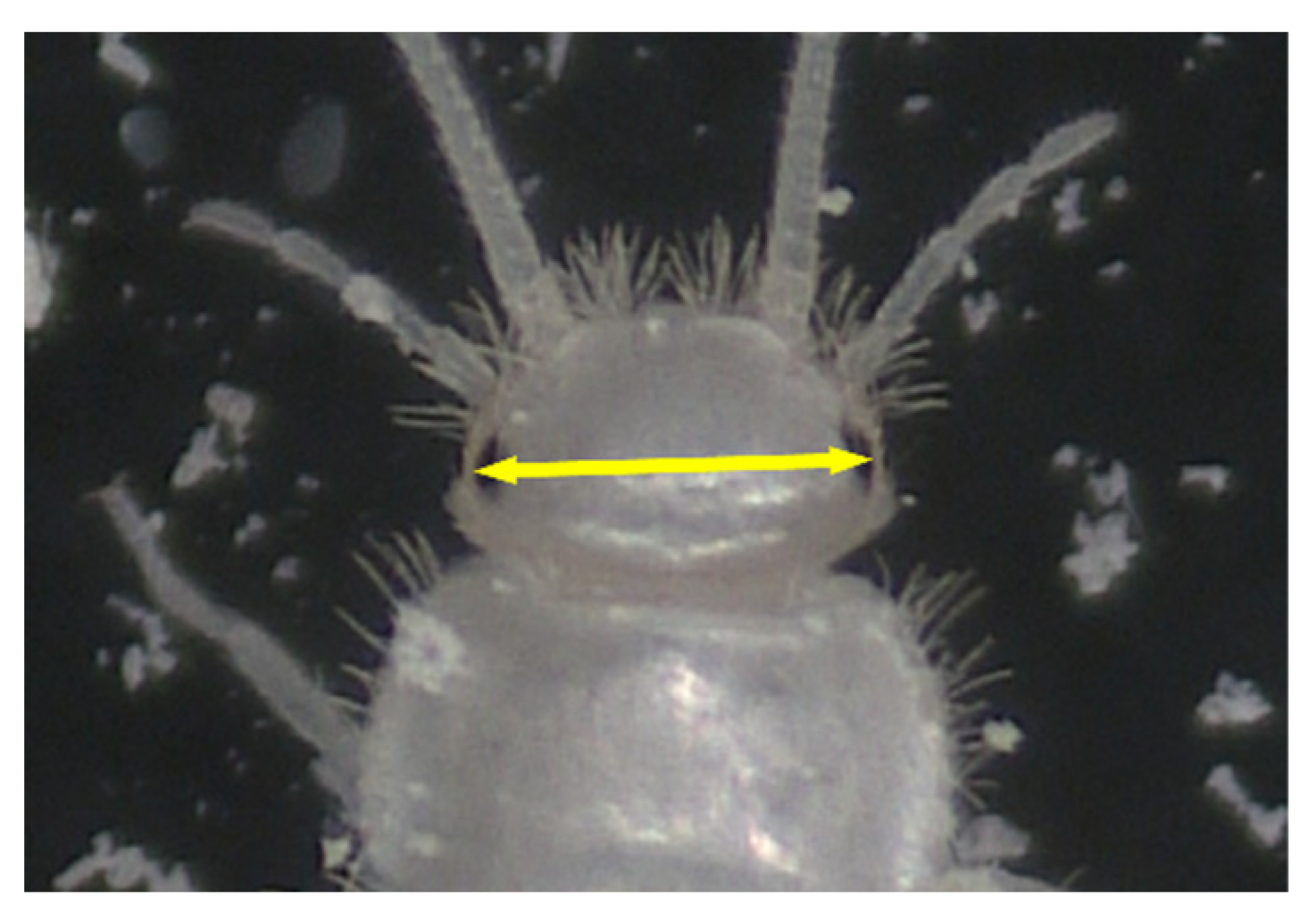 Insects 14 00563 g001