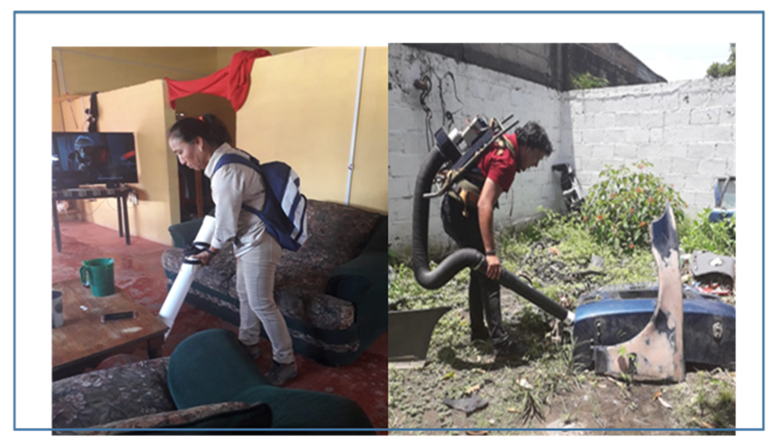 Insects 14 00565 g001 Insects 14 00565 g001