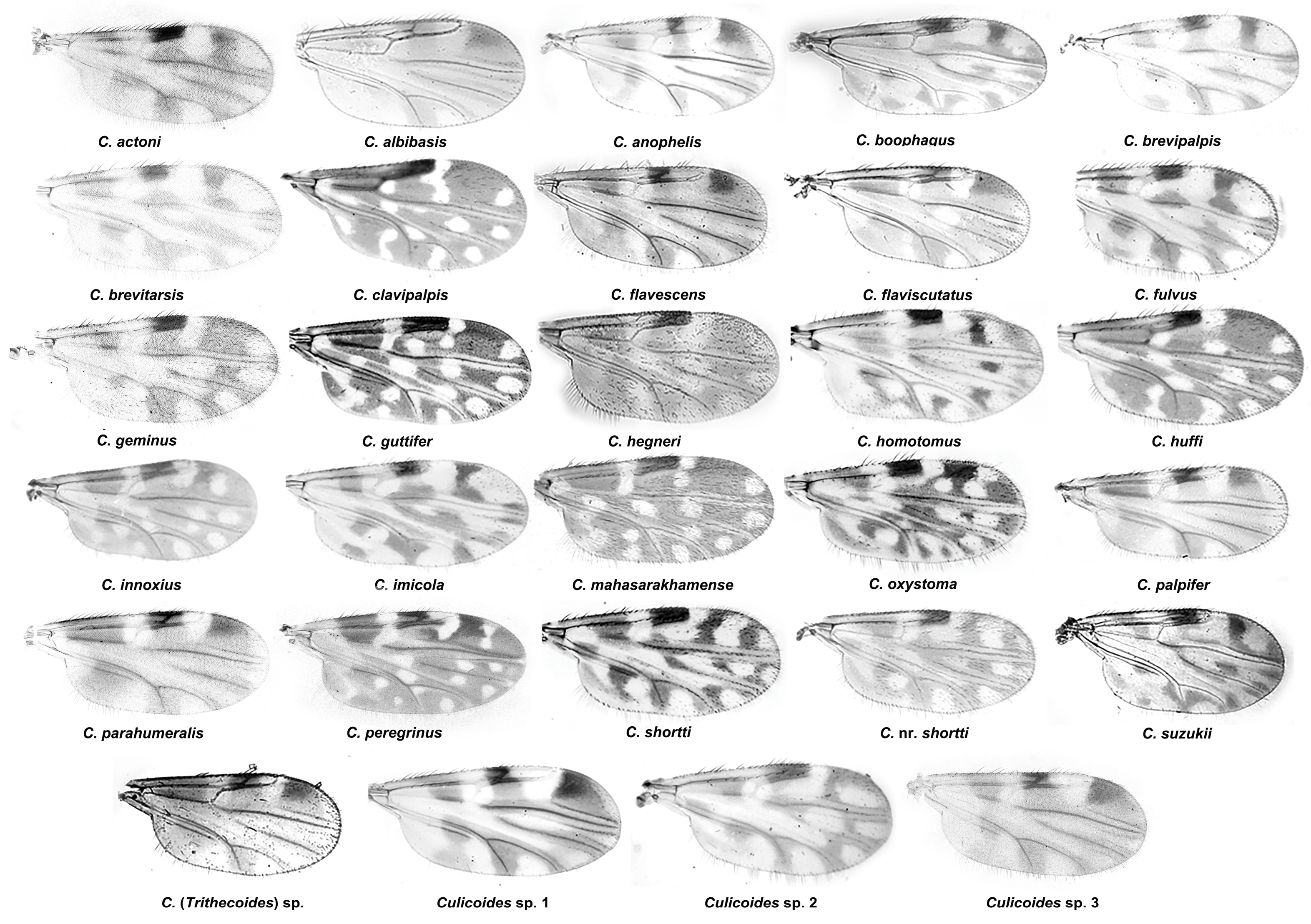 Insects 14 00574 g002 Insects 14 00574 g002