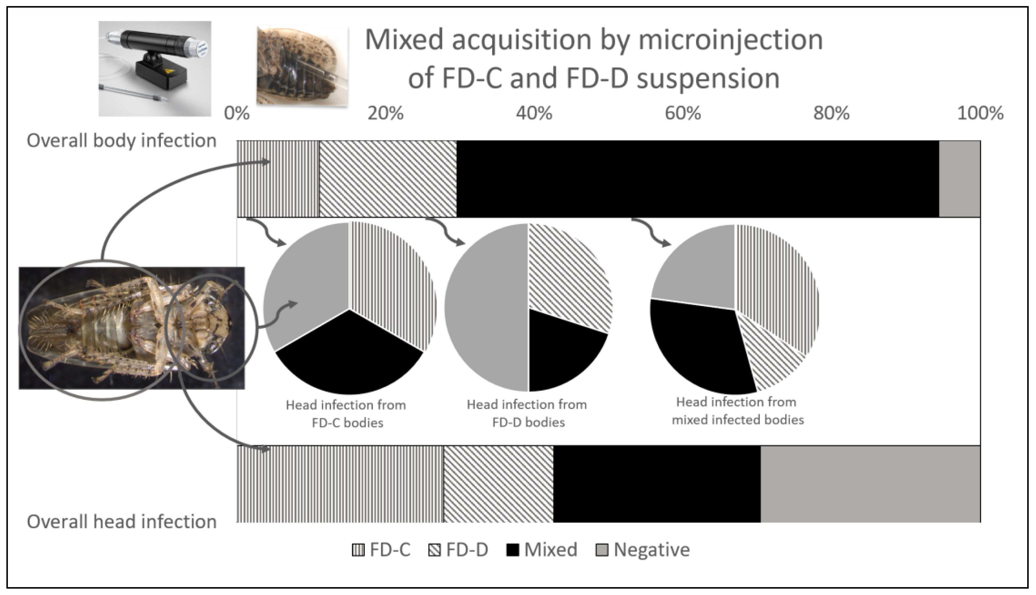 Insects 14 00575 g002 Insects 14 00575 g002