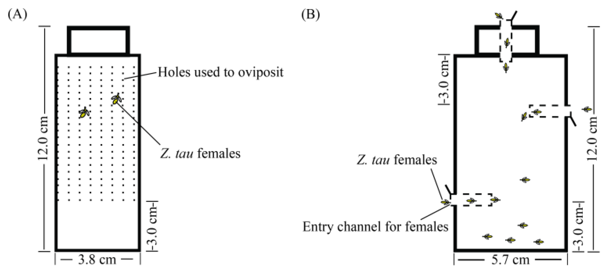 Insects 14 00591 g001