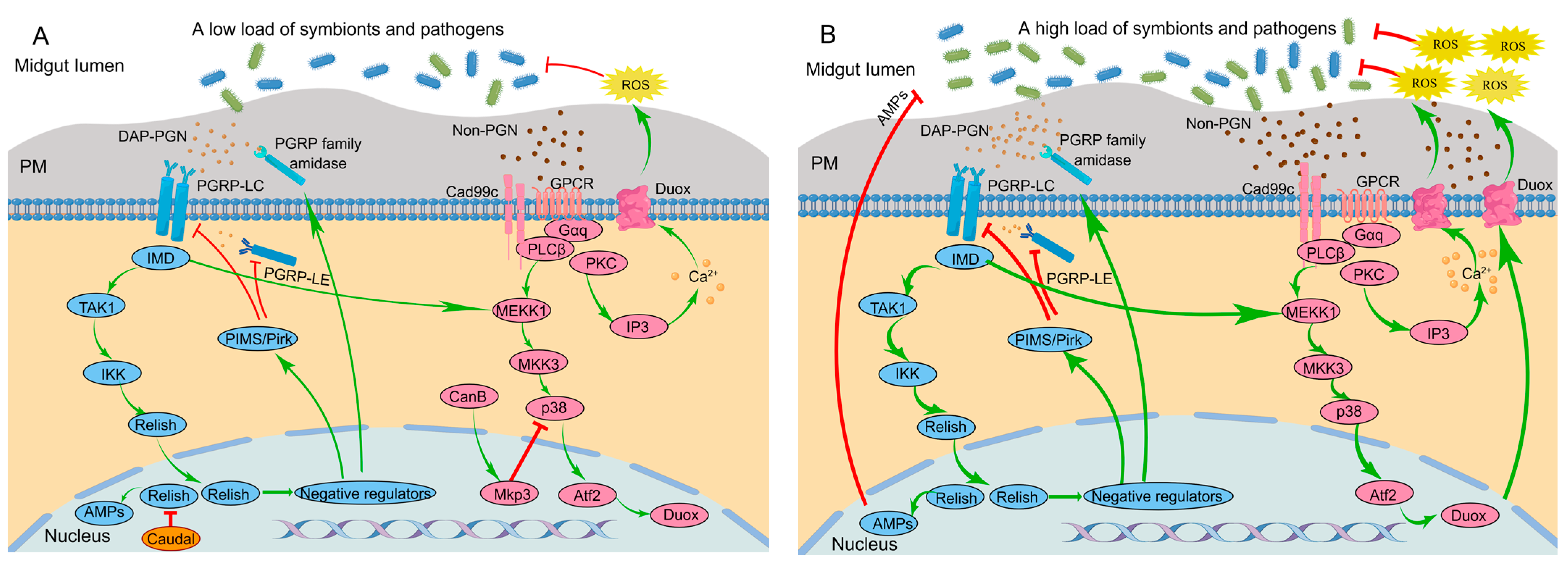 Insects 14 00594 g001