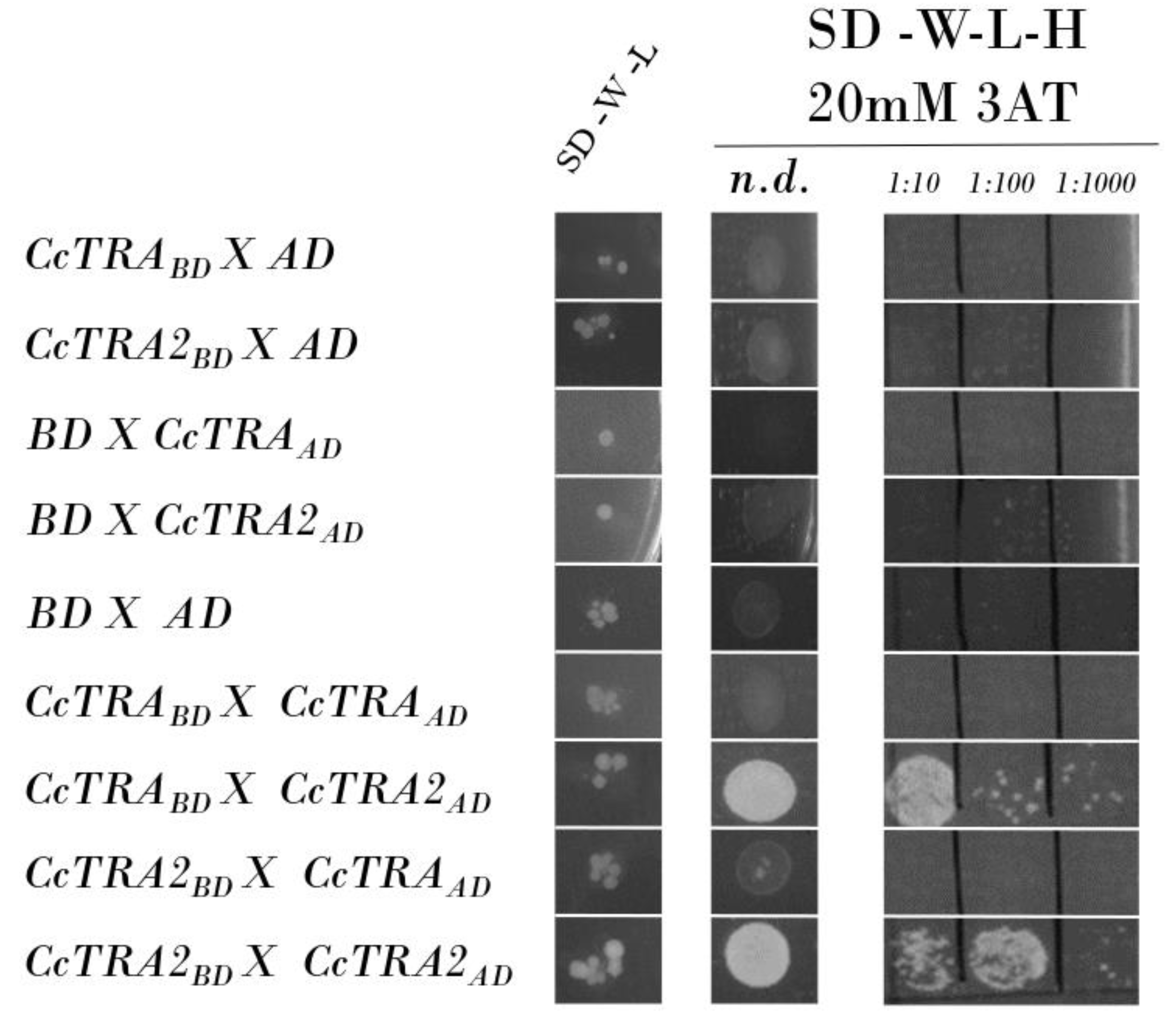 Insects 14 00605 g001