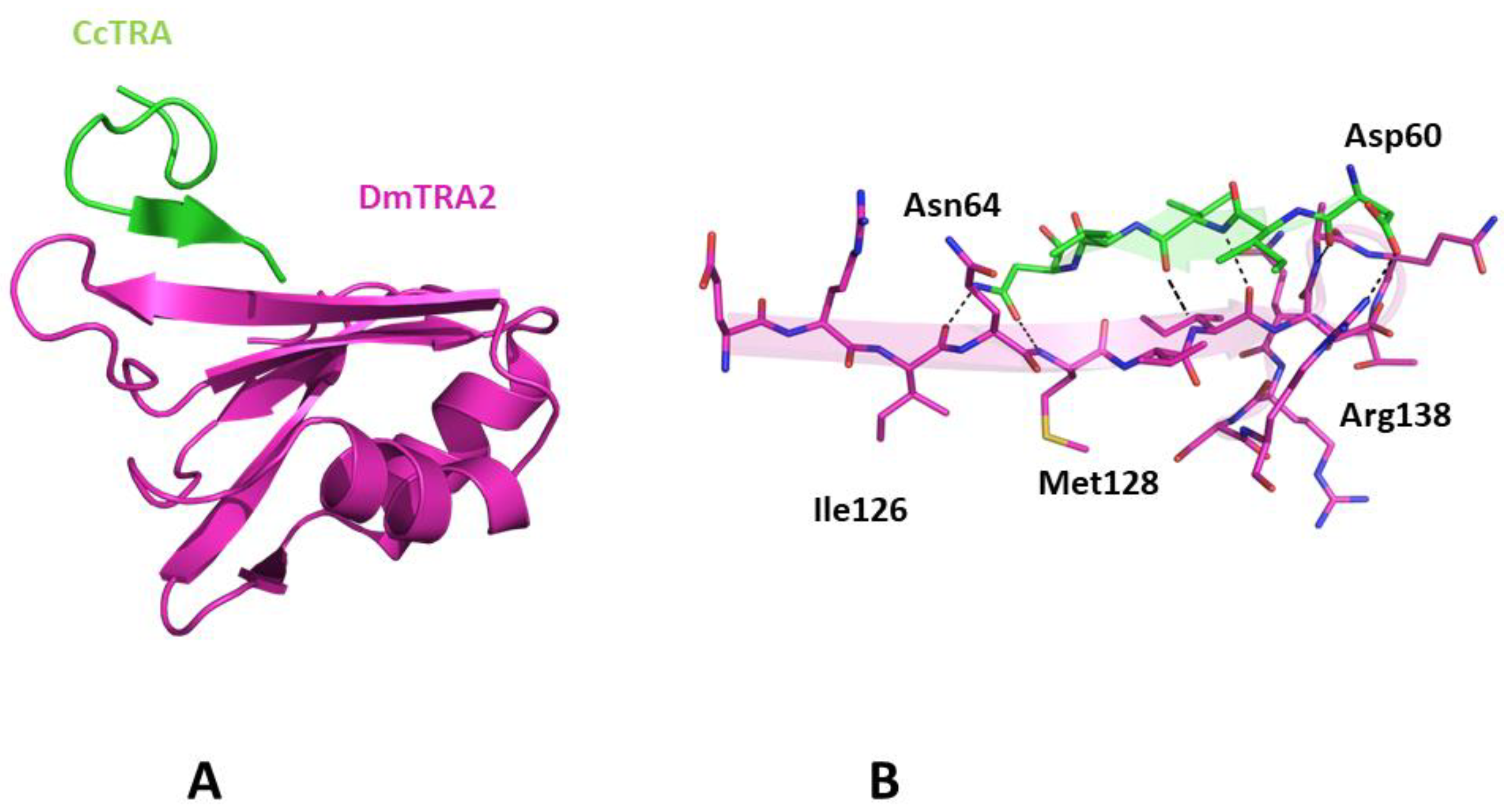 Insects 14 00605 g005