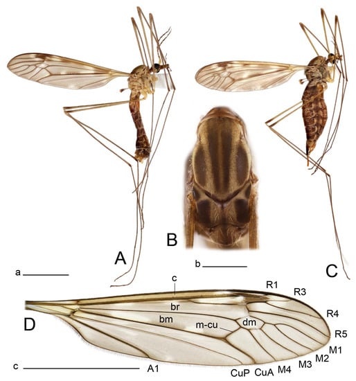 Insects 14 00616 g001