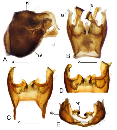 Insects 14 00616 g002