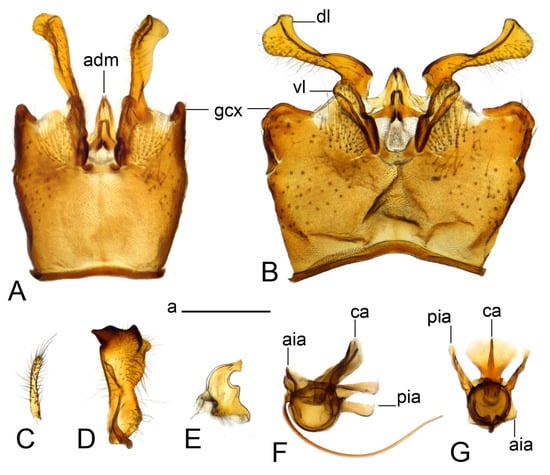 Insects 14 00616 g003