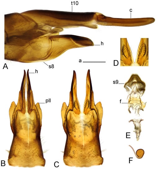 Insects 14 00616 g004