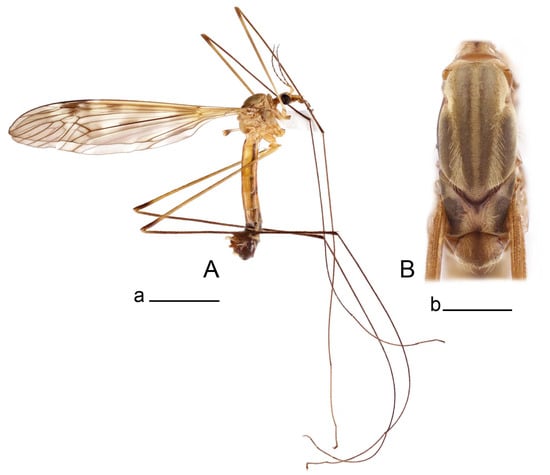 Insects 14 00616 g005