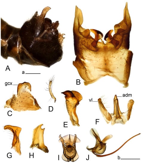 Insects 14 00616 g006