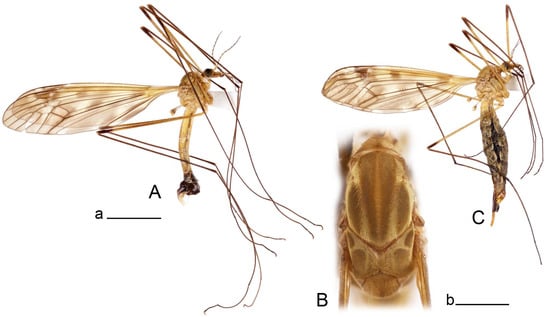 Insects 14 00616 g007