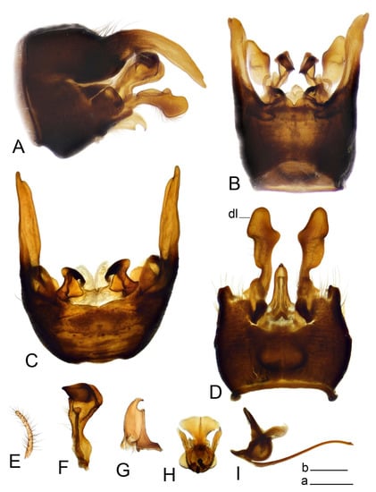 Insects 14 00616 g008