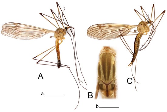 Insects 14 00616 g010