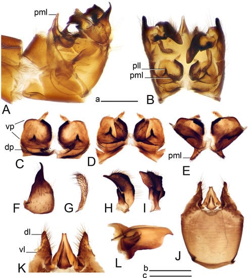 Insects 14 00616 g011