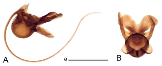 Insects 14 00616 g012