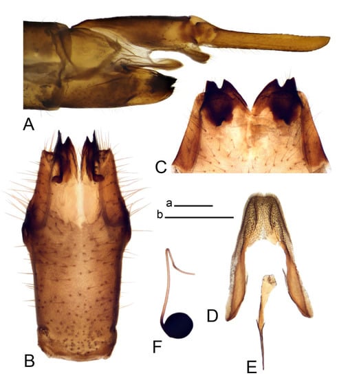Insects 14 00616 g013