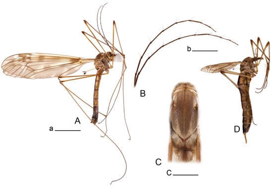 Insects 14 00616 g014