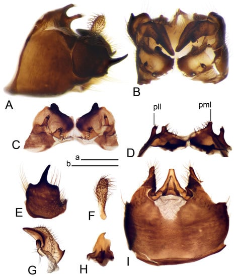 Insects 14 00616 g015