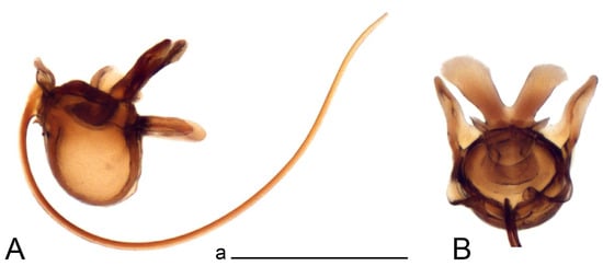 Insects 14 00616 g016