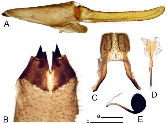 Insects 14 00616 g017